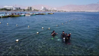 scuba diving eilat