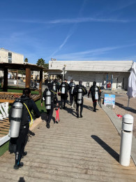 дайвинг курсы в Эйлате